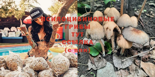 бутират Абаза