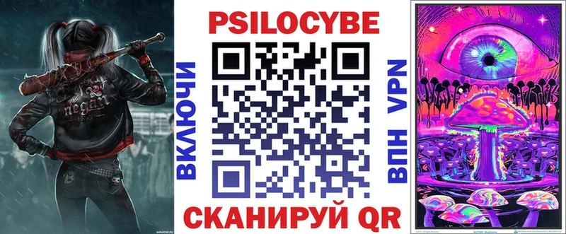 mega tor  Западная Двина  Галлюциногенные грибы Psilocybine cubensis 
